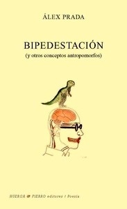 Bipedestación y otros conceptos antropomorfos