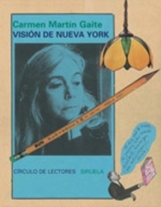 Visión de Nueva York