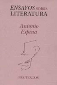 Ensayos sobre literatura