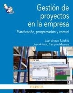 Gestión de proyectos en la empresa