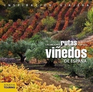 Las mejores rutas por los viñedos de España