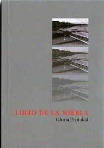 Libro de la niebla