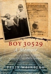 Boy 30529