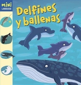 Delfines y ballenas