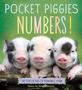 Pocket Piggies Numbers board book