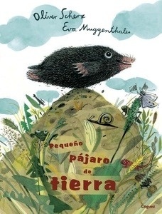 Pequeño pájaro de tierra