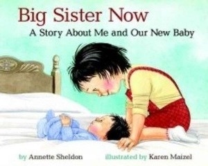 Big Sister Now: The Story of Me and Our New Baby