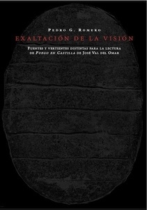 Exaltación de la visión