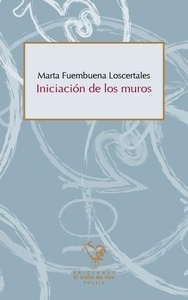Iniciación de los muros