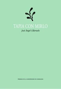 Tapia con mirlo