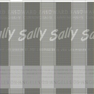 Sally