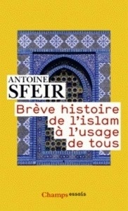 Brève histoire de l'islam à l'usage de tous