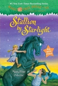 Stallion by Starlight