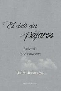 El cielo sin pájaros