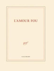Papeterie Gallimard Le grand Cahier pages blanches 25 x 32,5cm