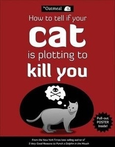 How to Tell If Your Cat is Plotting to Kill You