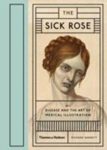 The Sick Rose