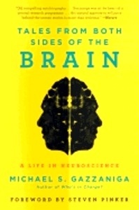 Tales from Both Sides of the Brain