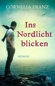 Ins Nordlicht blicken