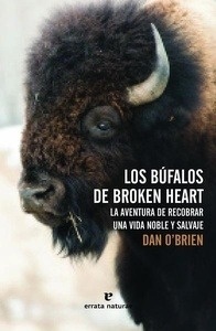 Los búfalos de Broken Heart