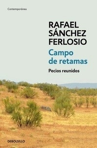 Campo de retamas