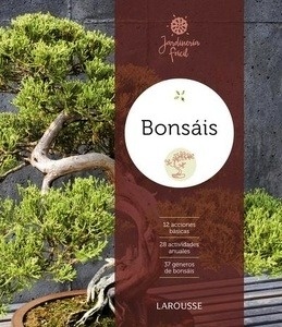 Bonsáis