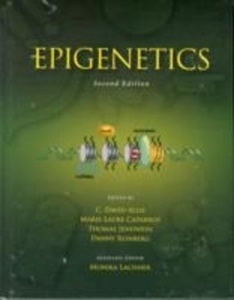 Epigenetics