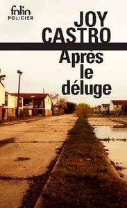 Après le déluge