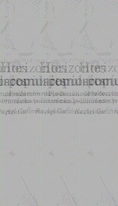 HORIZONTES COMUNITARIO-POPULARES