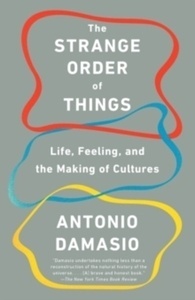 The Strange Order of Things : Life, Feeling, and the Making of Cultures