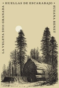 Huellas de escarabajo