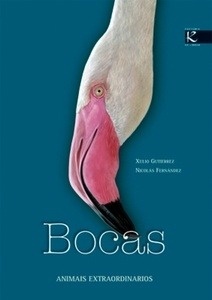 Bocas