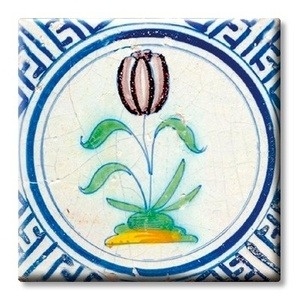 IMÁN Delft - Tulp in cirkel