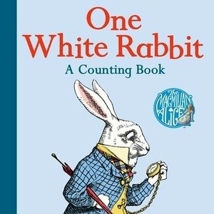 One White Rabbit, A Counting Book     board book