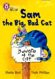 Sam and the Big Bad Cat : Band 03/Yellow