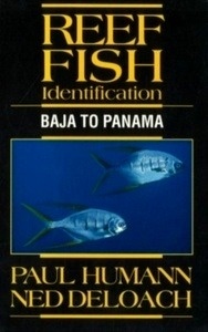 Reef Fish Identification : Baja to Panama