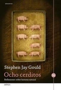 Ocho cerditos