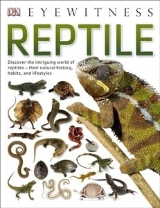 Reptiles