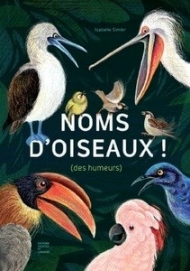 Noms d'oiseaux !