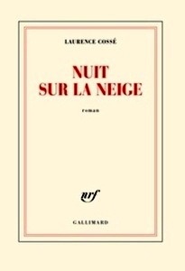 Nuit sur la neige