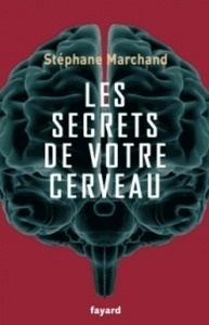 Les sécrets de votre cerveau