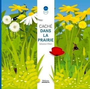 Caché dans la prairie