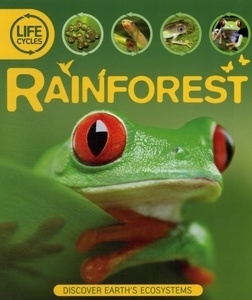 Life Cycles: Rainforest