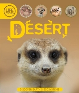Life Cycle: Desert