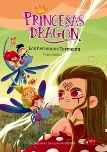 Princesas Dragón 5: Los hermanos Tormenta