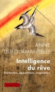 Intelligence du rêve - Fantasmes, apparitions, inspiration