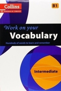 Work on your Vocabulary B1