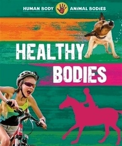 Human Body, Animal Bodies: Healthy Bodies