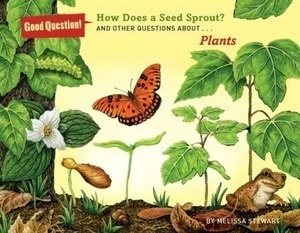 How Does a Seed Sprout? : And Other Questions About Plants