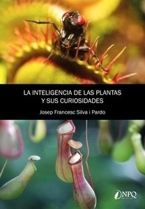 La inteligencia de las plantas y sus curiosidades